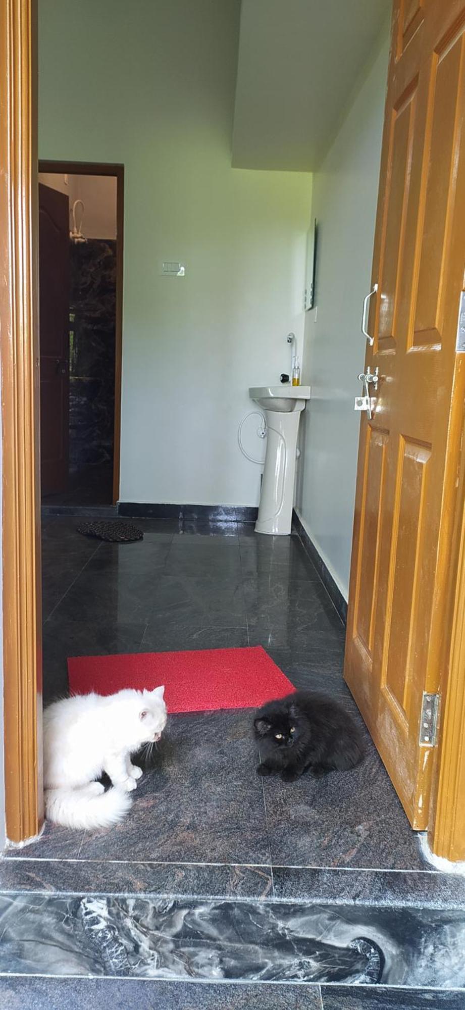 Arundekar Home Stay Gokarna Beach side AC room Exteriör bild